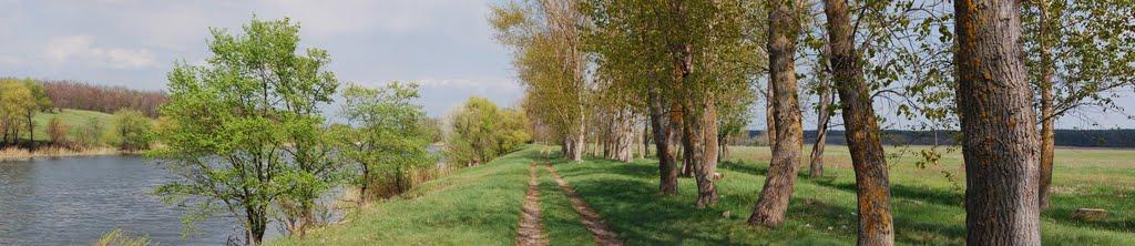 Шелудьківка з panoramio.com - Sheludkivka