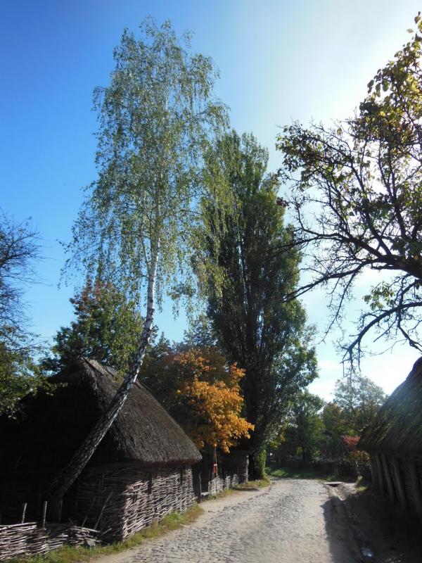 Новосілки з panoramio.com - Новоселки