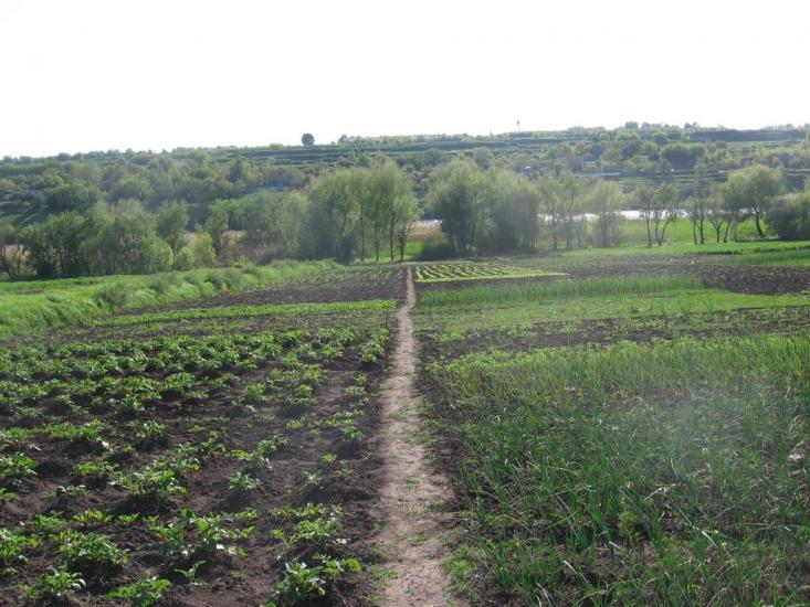 Перегонівка з panoramio.com - Перегонівка