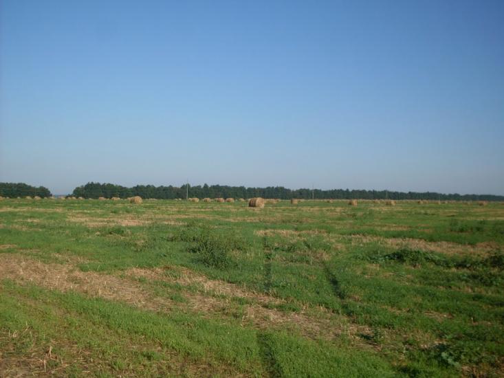 Бубнівка з panoramio.com - Бубновка