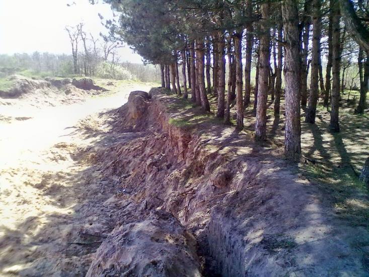 Павлівка з panoramio.com - Павловка
