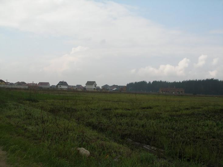 Новосілки з panoramio.com - Новоселки