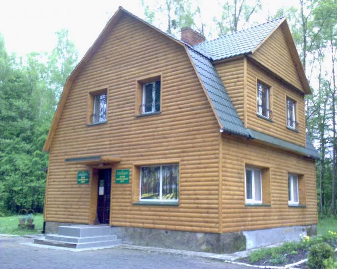 Сильне з panoramio.com - Сильне