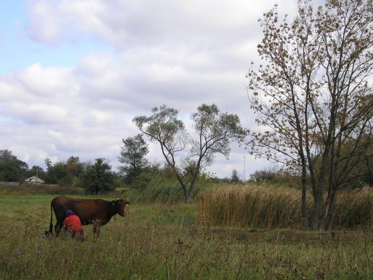 Нова Прага з panoramio.com - Нова Прага