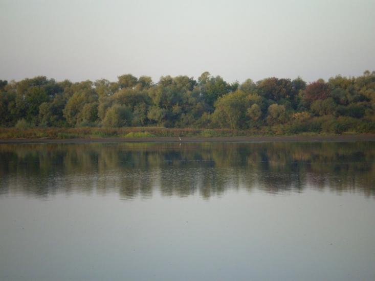 Прохорівка з panoramio.com - Prokhorivka
