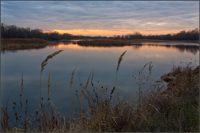 Кривуші з panoramio.com - Кривуши