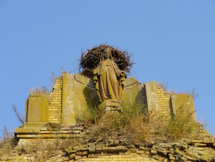 Сокіл з panoramio.com - Сокол