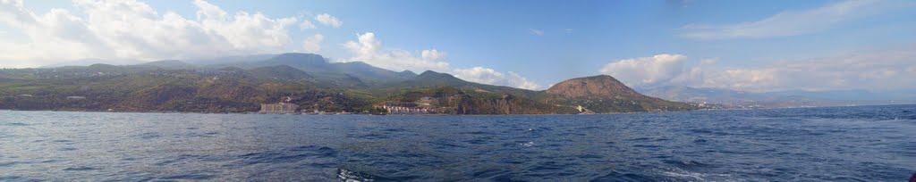 Чайка з panoramio.com - Чайка