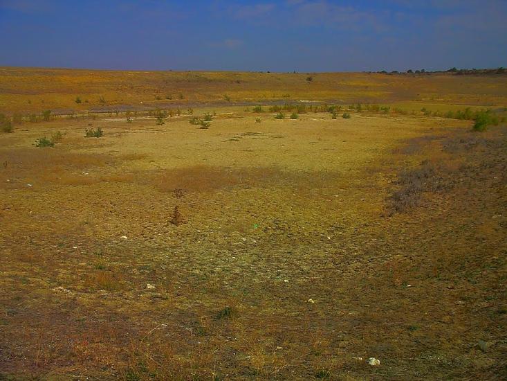 Каштани з panoramio.com - Каштани