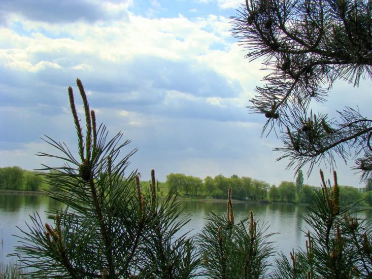 Пилипча з panoramio.com - Пилипча