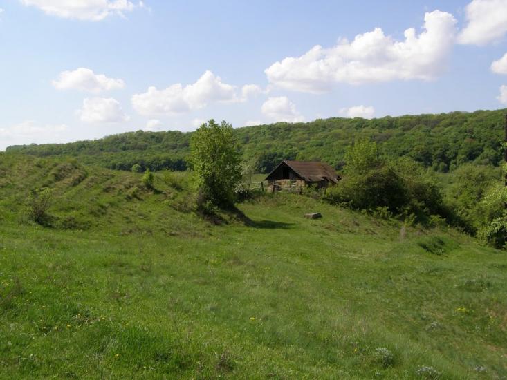 Черкасівка з panoramio.com - Cherkasivka