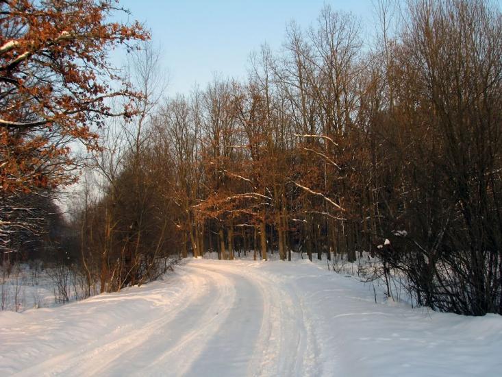 Волиця з panoramio.com - Волица