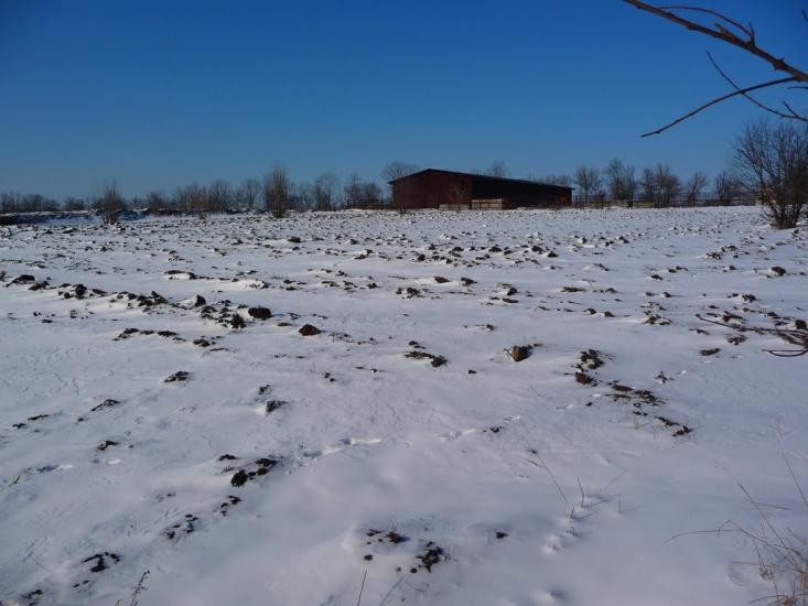 Гірницьке з panoramio.com - Горницкое