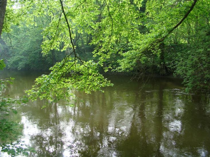 Іванківці з panoramio.com - Ivankivtsi