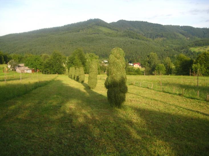 Кричка з panoramio.com - Кричка