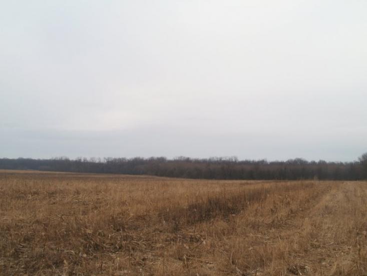 Карбівське з panoramio.com - Karbivske
