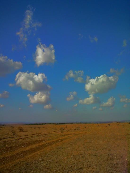 Рєпіне з panoramio.com - Рєпіне