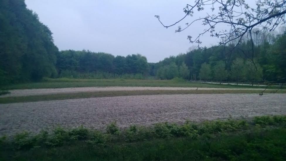 Іванківці з panoramio.com - Иванковцы