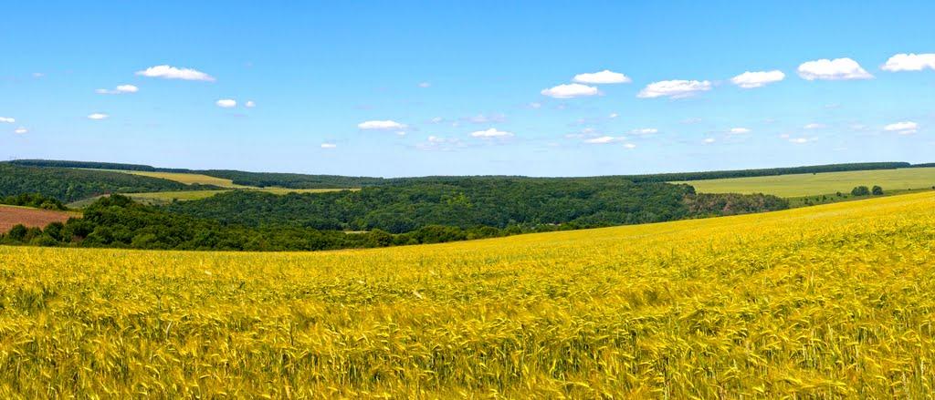 Черкасівка з panoramio.com - Черкасівка