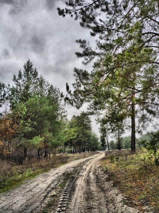 Ярова з panoramio.com - Ярова