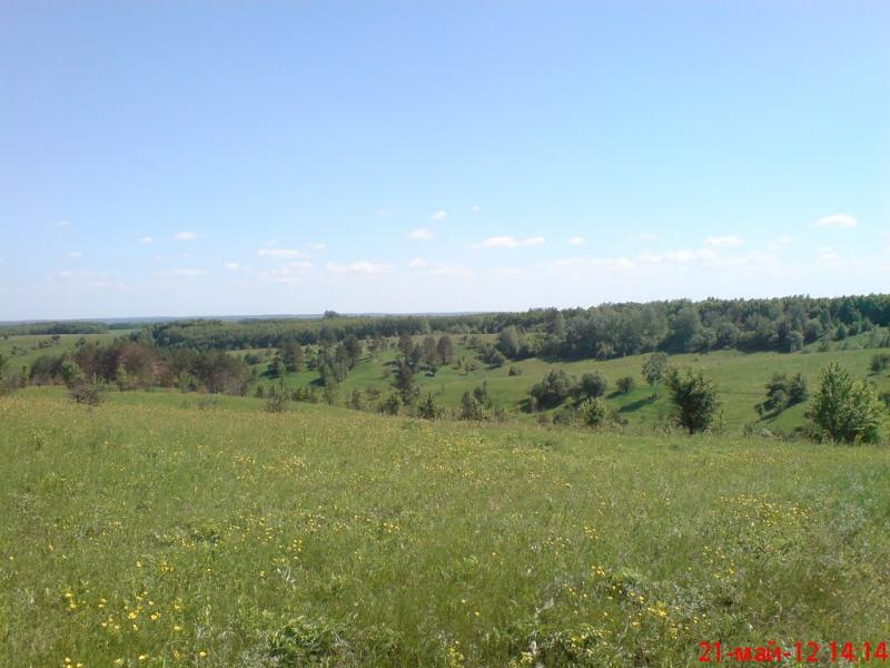 Пушкарівка з panoramio.com - Пушкаревка