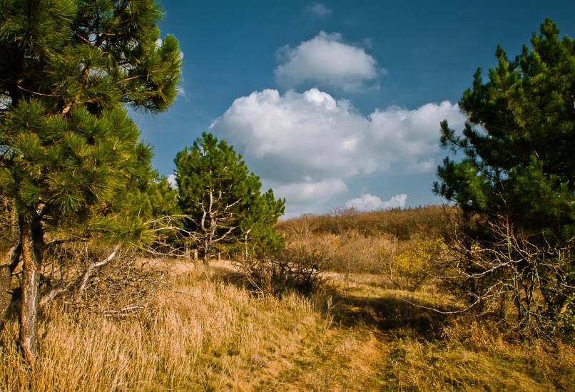 Алмазна з panoramio.com - Алмазная