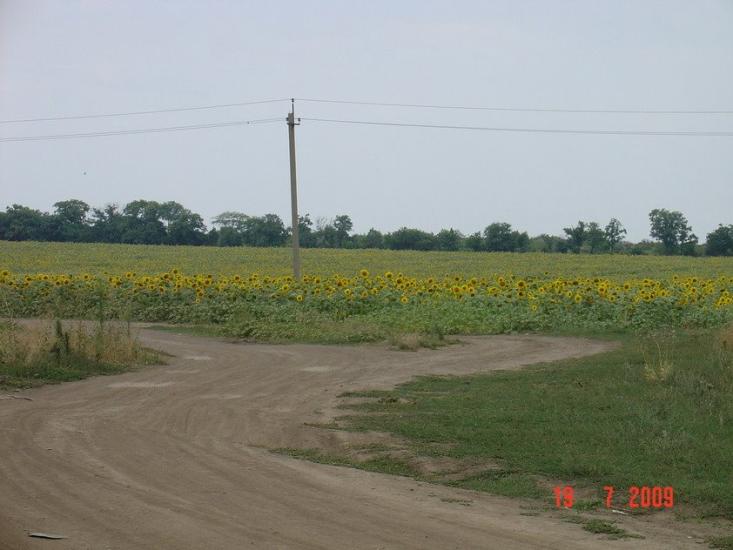 Холодна Балка з panoramio.com - Холодная Балка