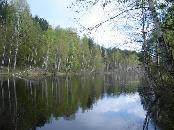 Гута-Ткачова з panoramio.com - Гута-Ткачова