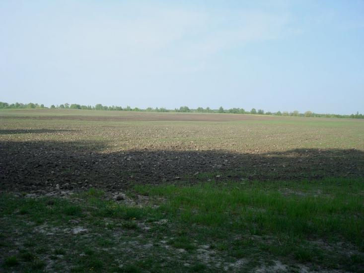 Вербівці з panoramio.com - Вербовцы