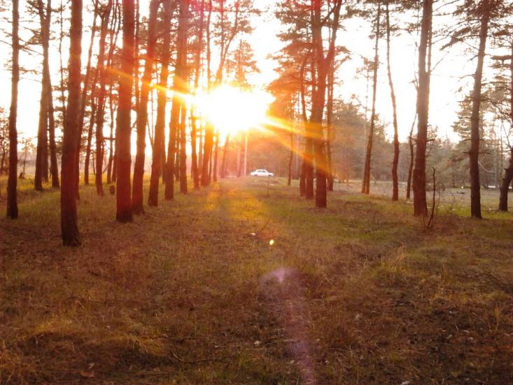 Самусіївка з panoramio.com - Самусіївка