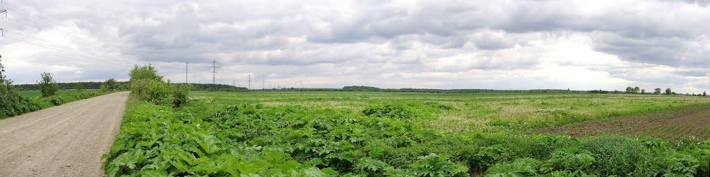 Черниця з panoramio.com - Черниця