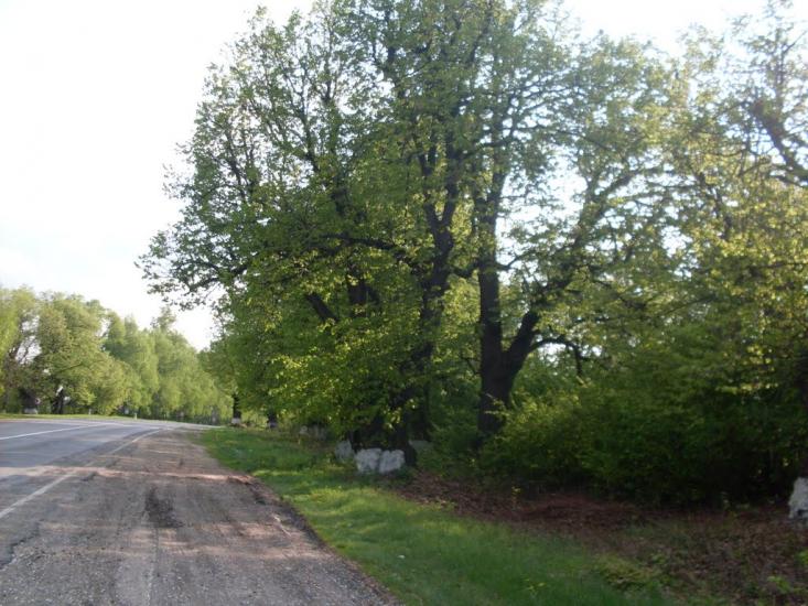 Кунка з panoramio.com - Кунка