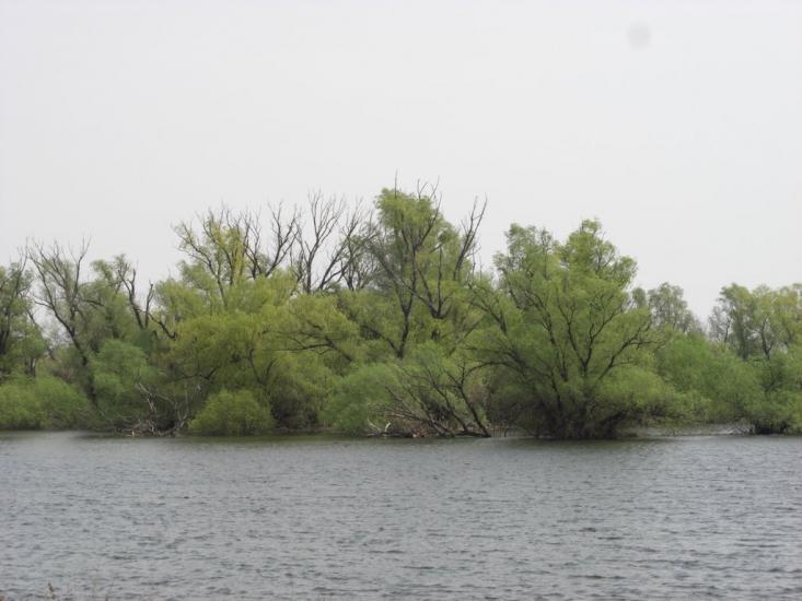 Матроська з panoramio.com - Матросская