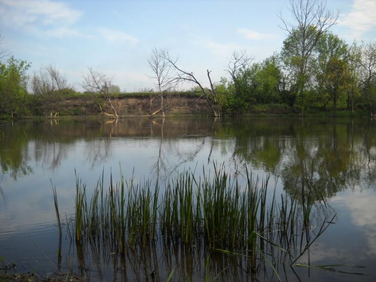 Довге з panoramio.com - Долгое