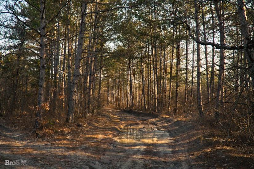 Прохладне з panoramio.com - Прохладное