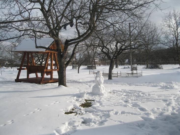 Баня-Березів з panoramio.com - Баня-Березов