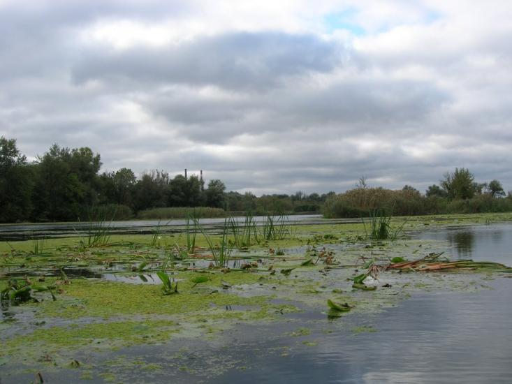 Райгородок з panoramio.com - Raygorodok