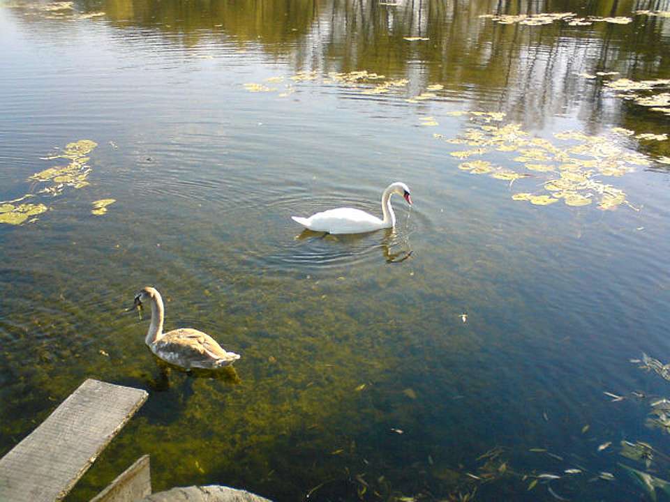 Любе село - Миролюбовка