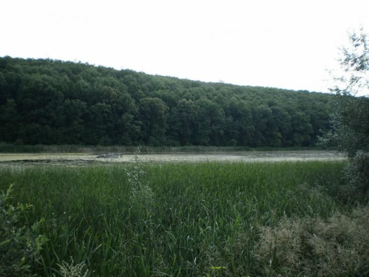 Руські Тишки з panoramio.com - Руські Тишки