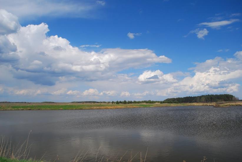 Арламівська Воля з panoramio.com - Арламівська Воля