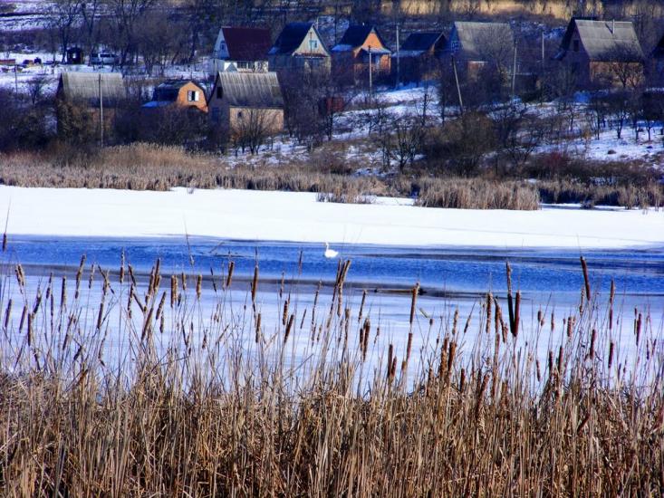 Жашків з panoramio.com - Жашков