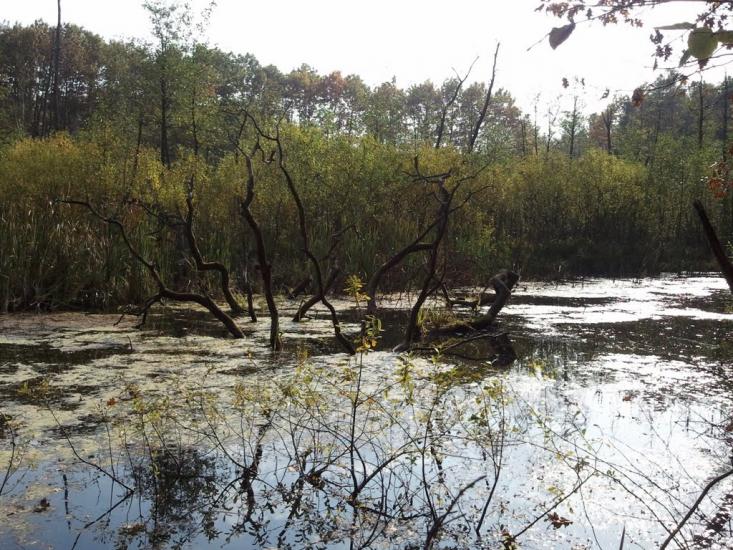 Малий Любінь з panoramio.com - Малий Любінь