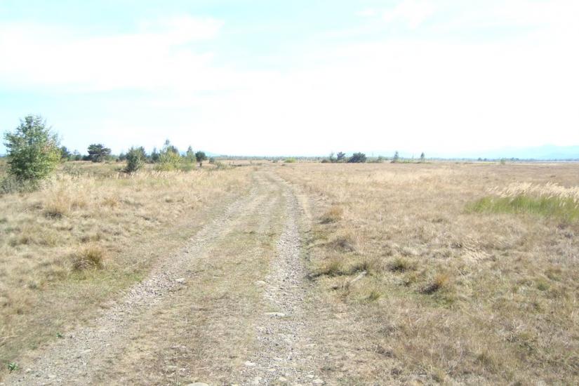 Ценява з panoramio.com - Ценява