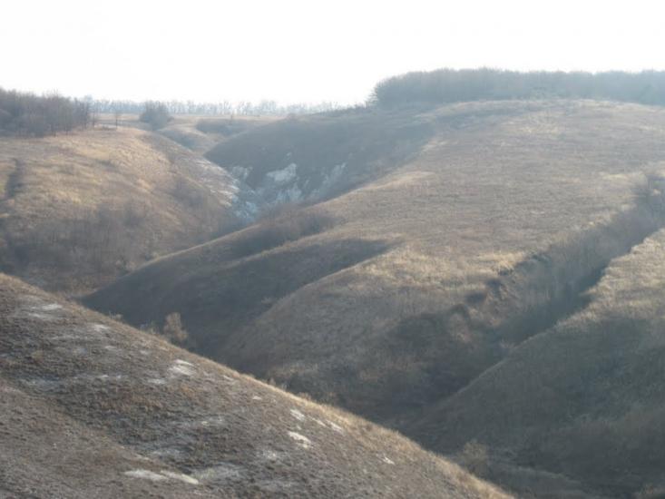 Біленьке з panoramio.com - Біленьке