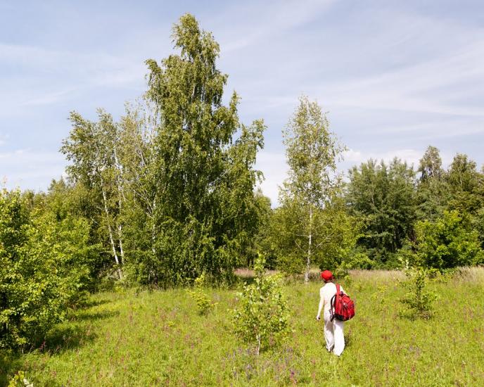 Пекарі з panoramio.com - Пекарі