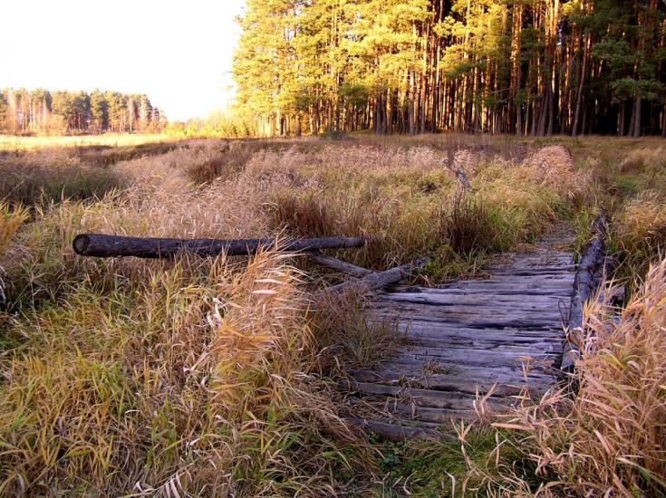 Ушиця з panoramio.com - Ушица