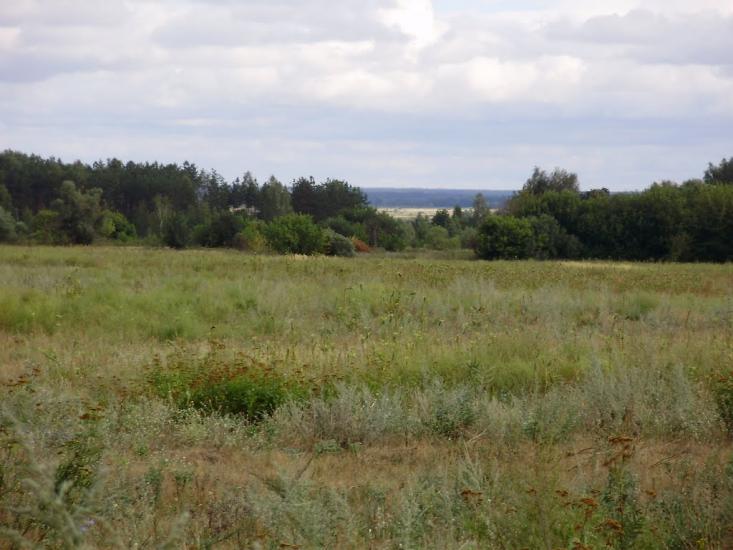 Остроушки з panoramio.com - Остроушки