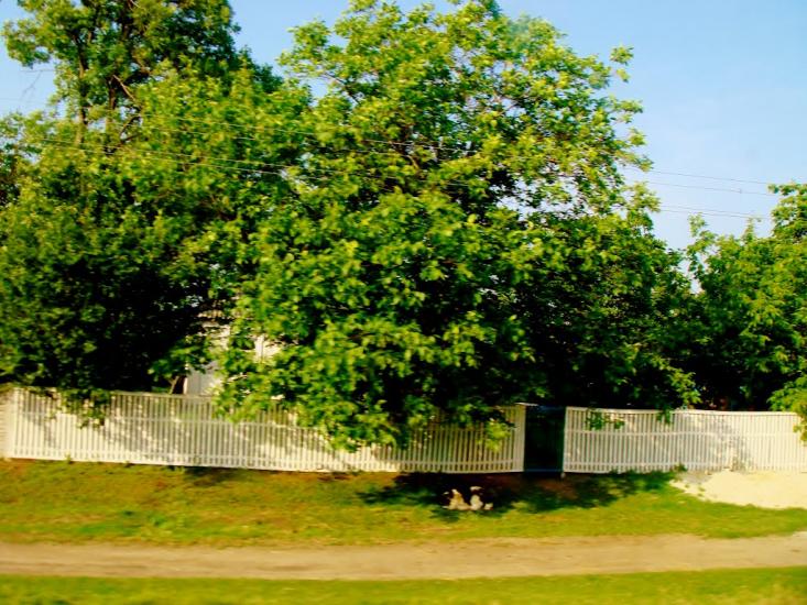 Бране Поле з panoramio.com - Браное Поле