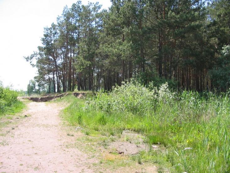 Циркуни з panoramio.com - Циркуны