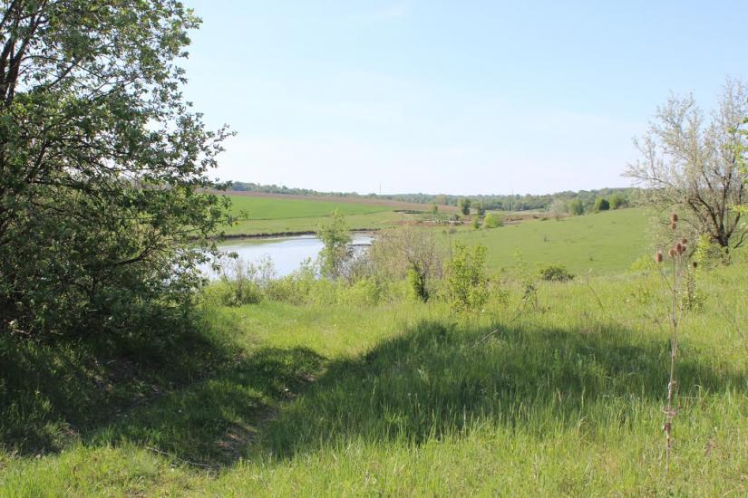 Михайлівка з panoramio.com - Михайлівка